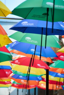 Rows of colourful umbrellas