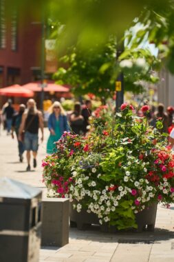 flower display with people walking in the background